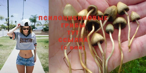 MDMA Лиски