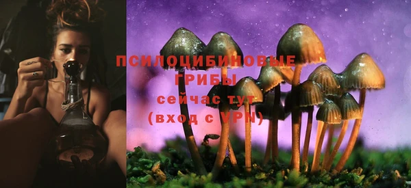 гидра Лабытнанги