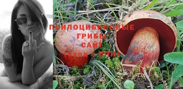 прущий лед Лихославль