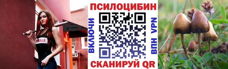 Псилоцибиновые грибы MAGIC MUSHROOMS  что такое   kraken зеркало  Екатеринбург 